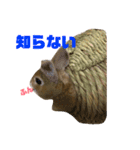 ミニウサギすたんぷ（個別スタンプ：13）