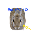 ミニウサギすたんぷ（個別スタンプ：20）