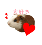 可愛いピノ君（個別スタンプ：3）
