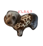 セピアさんの気まぐれ（個別スタンプ：2）