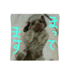 セピアさんの気まぐれ（個別スタンプ：5）