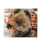 セピアさんの気まぐれ（個別スタンプ：7）