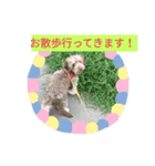セピアさんの気まぐれ（個別スタンプ：8）