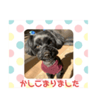 クレアさん（個別スタンプ：4）