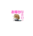 豆柴のリョーマくん（個別スタンプ：11）