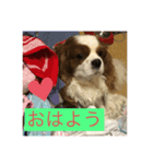 ジュンちゃんの日常vol.2（個別スタンプ：5）