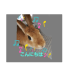 ふぁみちゃん3（個別スタンプ：4）