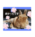 ふぁみちゃん3（個別スタンプ：8）