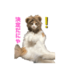 ノルウェージャンるなちゃん（個別スタンプ：3）