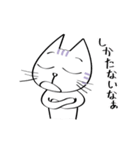 三白眼ネコと家族（個別スタンプ：12）
