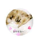 思った事がそのまま出ちゃう無邪気スタンプ（個別スタンプ：7）
