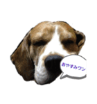 ルビーくん（個別スタンプ：5）