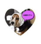 ルビーくん（個別スタンプ：7）