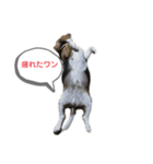 ルビーくん（個別スタンプ：8）
