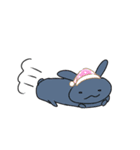 ×うさぎ（個別スタンプ：8）