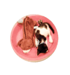 うちのねこ(こなこな)（個別スタンプ：6）