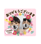 seirasena（個別スタンプ：4）