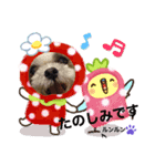 みことわんこ⑥（個別スタンプ：4）