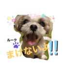 みことわんこ⑥（個別スタンプ：8）