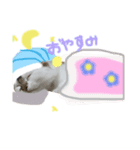 はーちゃんちのテオ（個別スタンプ：2）