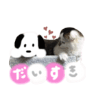 はーちゃんちのテオ（個別スタンプ：5）