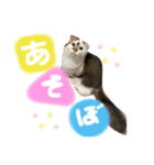 はーちゃんちのテオ（個別スタンプ：7）