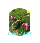 よーきーず1（個別スタンプ：18）