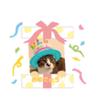 ぬっころスタンプ（個別スタンプ：4）