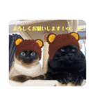 ぬっころスタンプ（個別スタンプ：6）