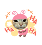 うちの子 キャット（個別スタンプ：11）