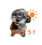 keyすたんぷ（個別スタンプ：1）