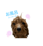 mocacoco‎´•ﻌ•`（個別スタンプ：1）