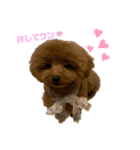 mocacoco‎´•ﻌ•`（個別スタンプ：2）