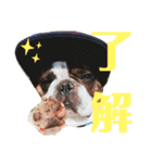ベーブとしょうちゃん（個別スタンプ：7）