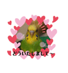 セキセイインコ の日常（個別スタンプ：21）