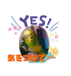 セキセイインコ の日常（個別スタンプ：25）