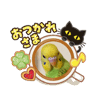 セキセイインコ の日常（個別スタンプ：30）