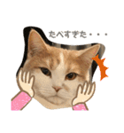 むつにこちゃん2（個別スタンプ：20）