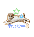 むつにこちゃん2（個別スタンプ：21）