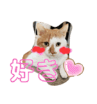 むつにこちゃん2（個別スタンプ：23）