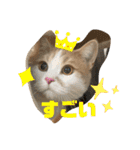 むつにこちゃん2（個別スタンプ：30）