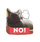#きょうのグレねこさま（個別スタンプ：6）