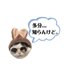 まえがみスタンプ 時々とらひな（個別スタンプ：6）