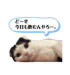 まえがみスタンプ 時々とらひな（個別スタンプ：9）