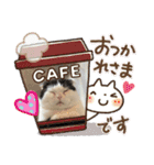 まえがみスタンプ 時々とらひな（個別スタンプ：16）