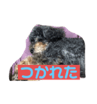 ぷりむすたんぷ（個別スタンプ：4）