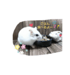 シロップのきもち～ハムスターのくらし（個別スタンプ：3）