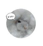 シロップのきもち～ハムスターのくらし（個別スタンプ：12）