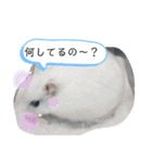 シロップのきもち～ハムスターのくらし（個別スタンプ：16）