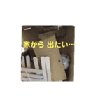 シロップのきもち～ハムスターのくらし（個別スタンプ：24）